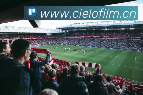 九游j9官方官网APP 体育赛事宣传图